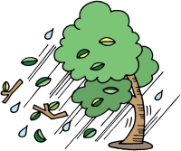 強風のイラスト