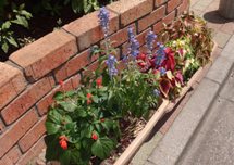 （団体名）住みよい街を作る会の画像1