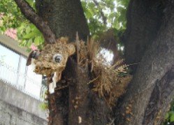 写真：国府台の辻切り