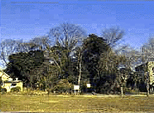 写真：法皇塚古墳