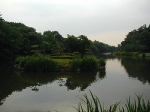 写真：じゅんさい池