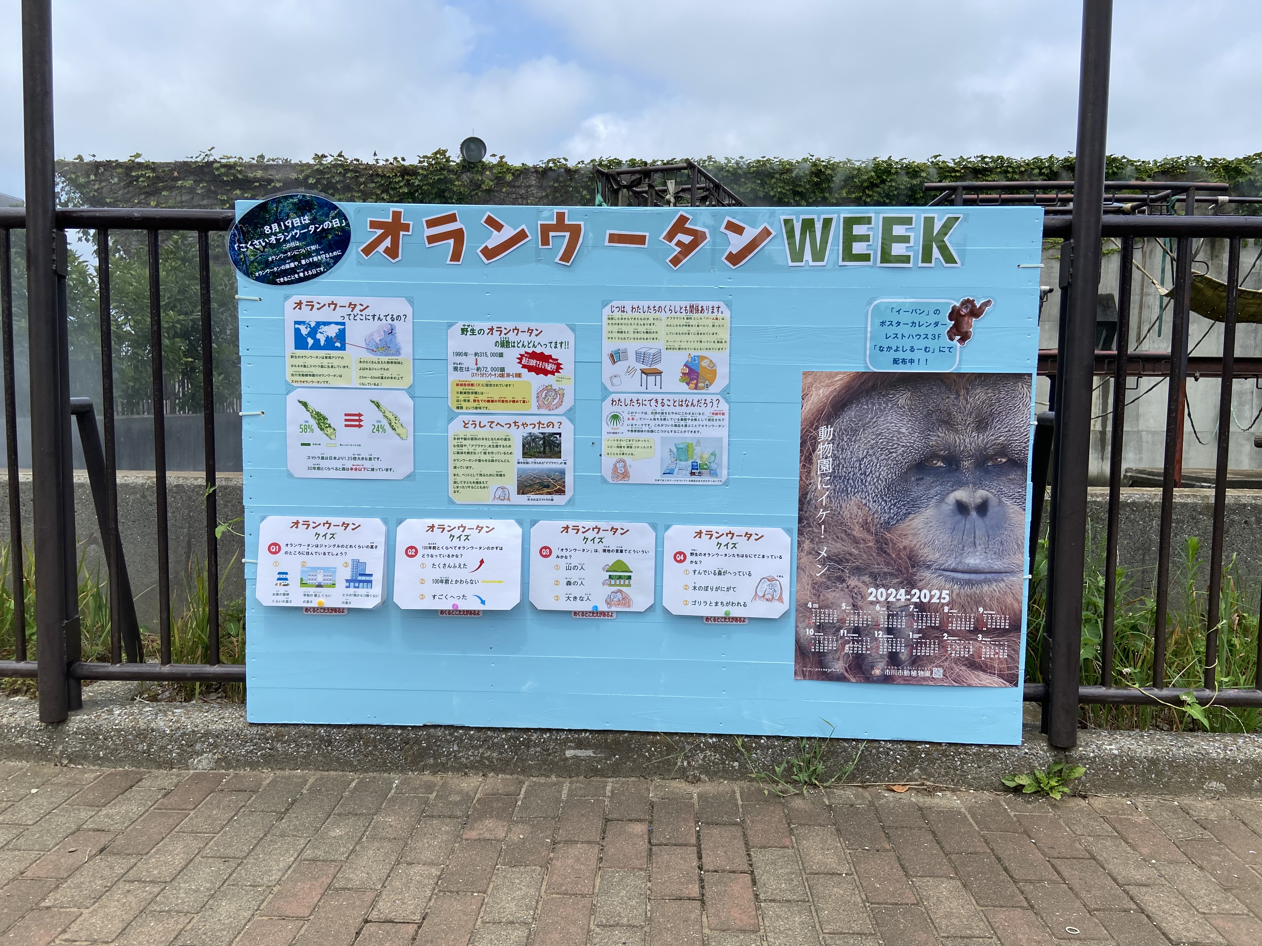 画像：国際オランウータンデイのパネル展示の写真