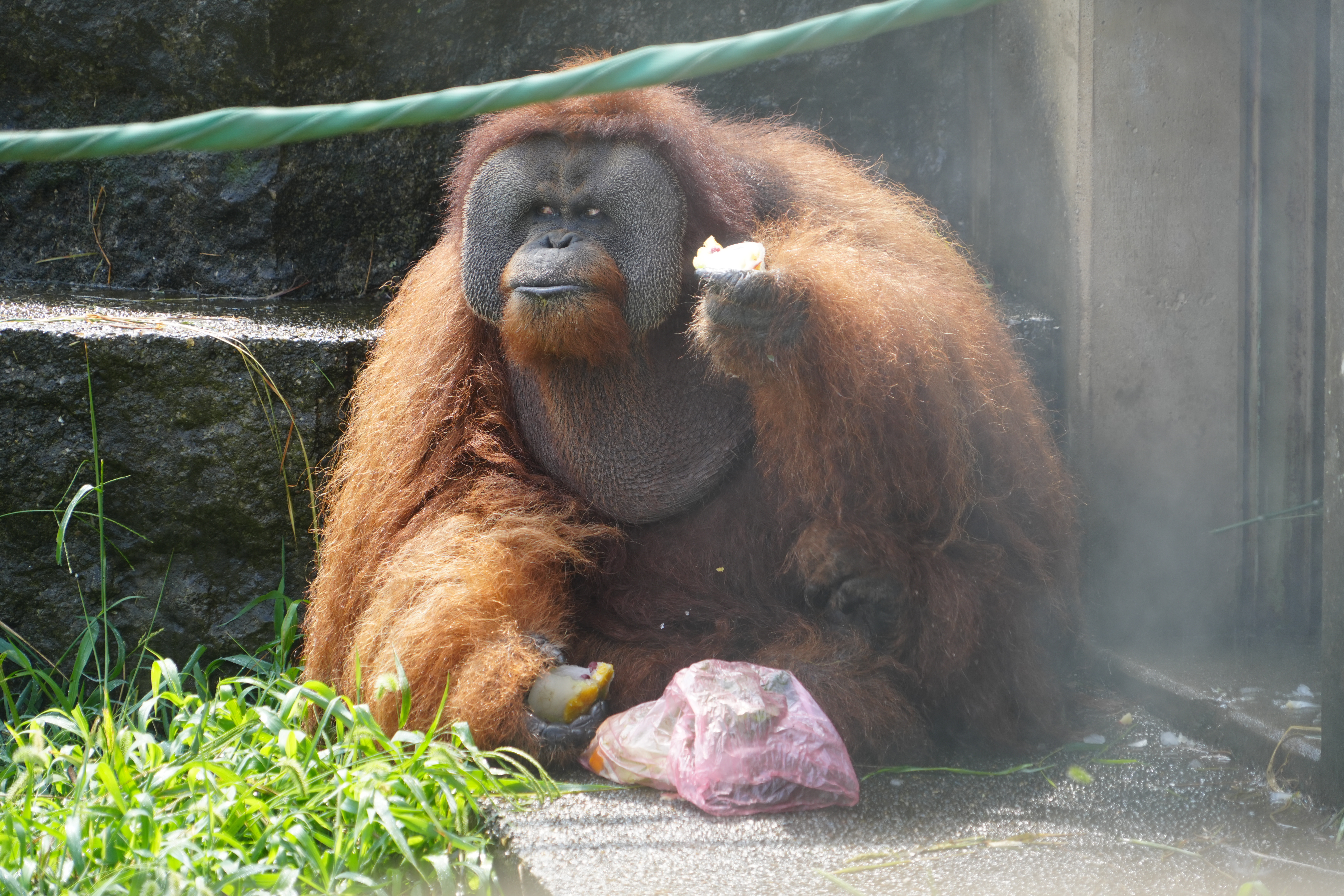 画像：満足気なイーバンの写真