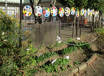 こども菜園の画像