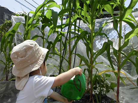 園の特色の画像4