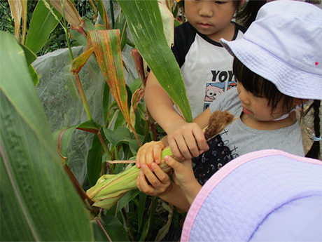 園の特色の画像6