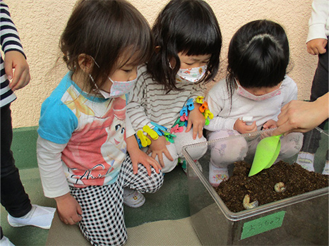 幼虫が動いた!ちょっと怖いけどもっと見てみようの画像