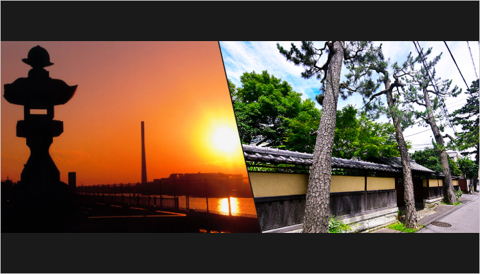 ココが思い出の場所になるの画像