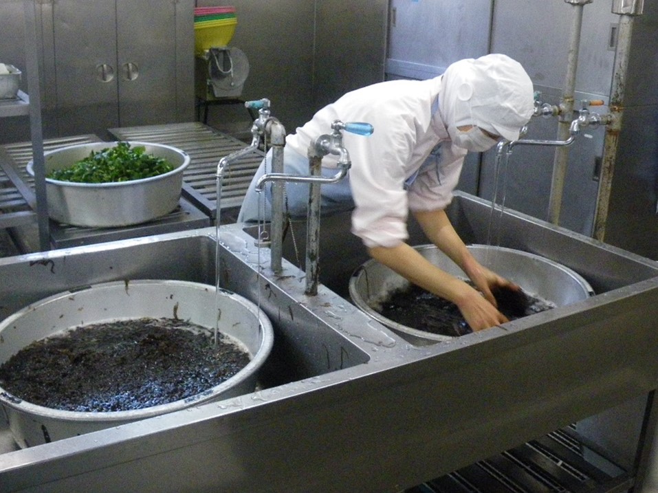 ノリを調理している様子の写真