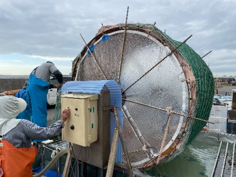 網にノリの種を付けている様子の写真
