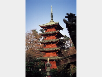 国指定文化財の画像3