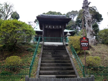 国指定文化財の画像5