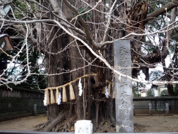 国指定文化財の画像17