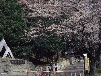 市指定文化財の画像28