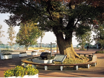 市指定文化財の画像29