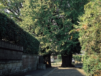 市指定文化財の画像34