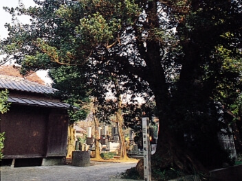 市指定文化財の画像35