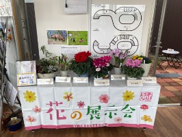 写真:令和6年度花の展示のあいねすとの様子