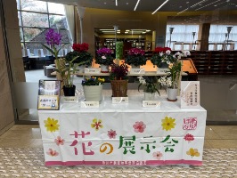 写真:令和6年度花の展示中央図書館の様子