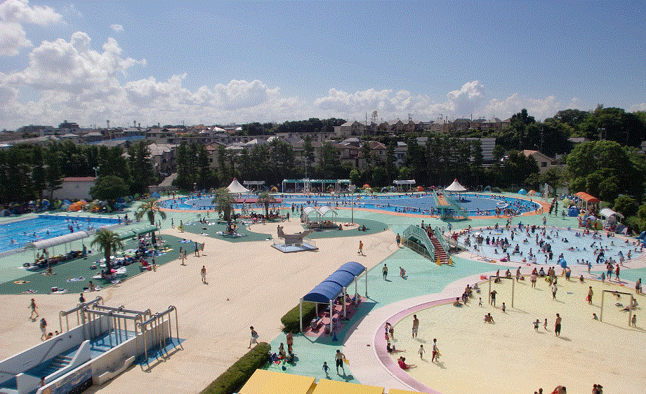 写真:市民プール全体