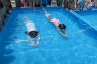 プール遊びの画像