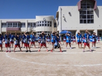 よさこいソーランの画像