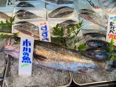 販売されたスズキの切り身の写真