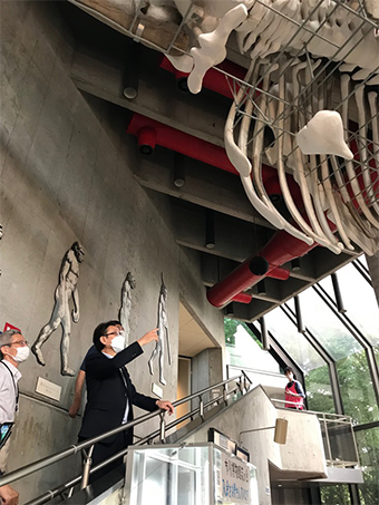 考古学博物館、歴史博物館 視察の画像