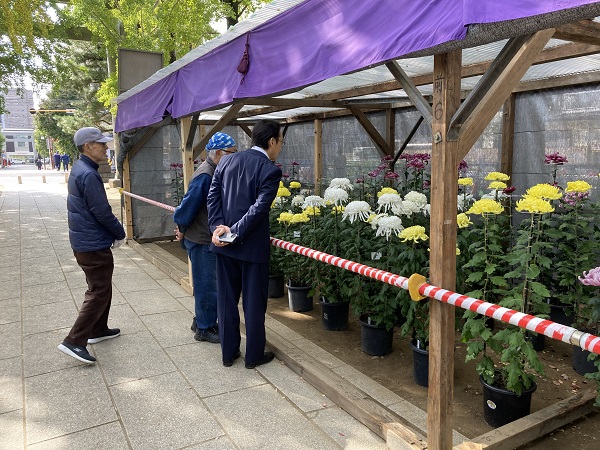 第66回菊花展 視察の画像