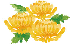 市川市霊園

[1]一般芝生墓地使用者募集

[2]返還一般普通墓地の生前申し込み