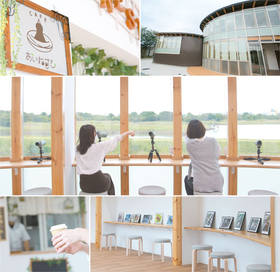 市川をつなぐ新たな場所の画像