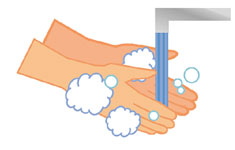 [3]ごみを捨てた後はせっけんを使って、流水で手をよく洗いましょう。の画像