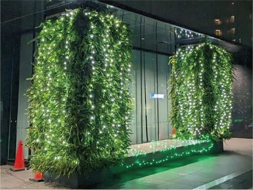 画像:昨年のライトアップの様子