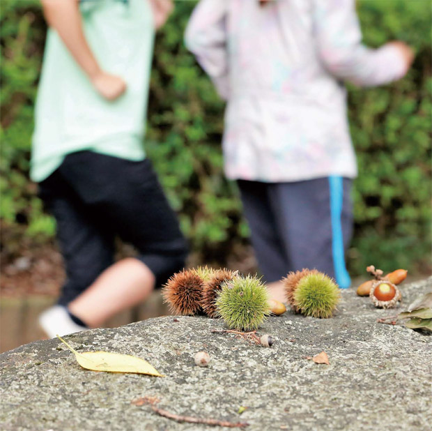 小さな秋 あちこちにの画像