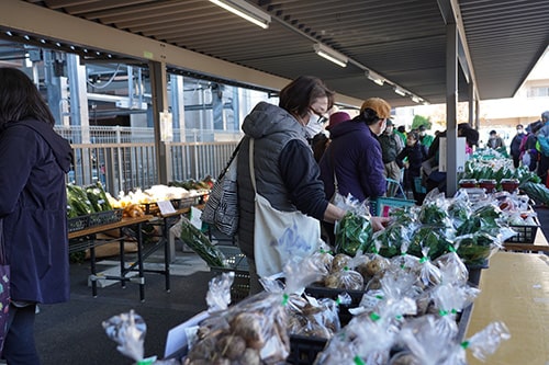 画像:たくさんの新鮮野菜が並びます