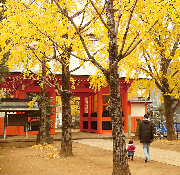 色づく秋を感じるの画像