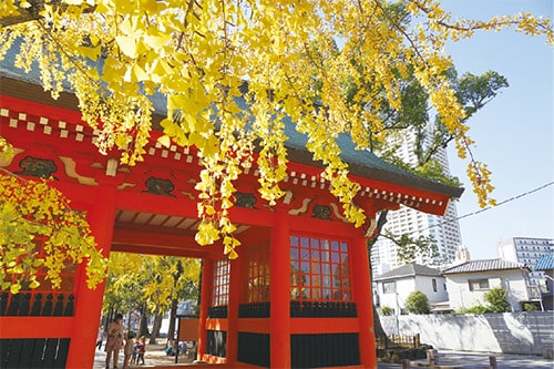 画像:銀杏並木が美しい秋の様子