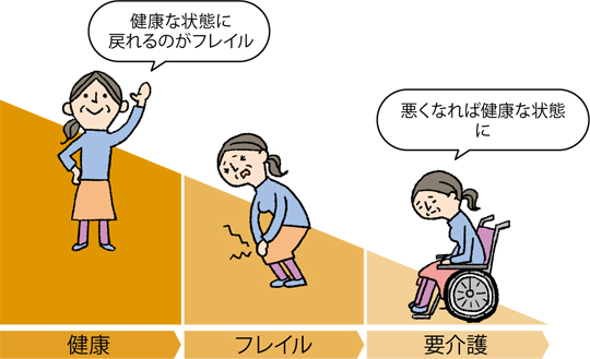 「フレイル」とはの画像