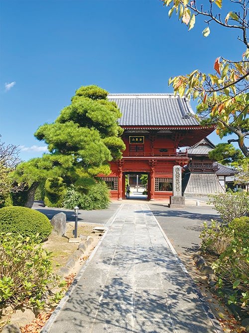 運慶作として伝えられている阿弥陀如来像を本尊とする徳願寺は、ある戦国武将が帰依したことにより「徳願寺」という名になったが、その武将とは次のうち誰か。の画像