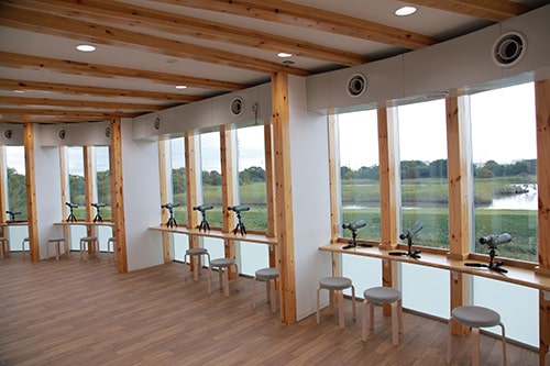 画像：市川市行徳野鳥観察舎