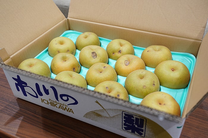 画像:降ひょうによる農作物などの被害(6月)