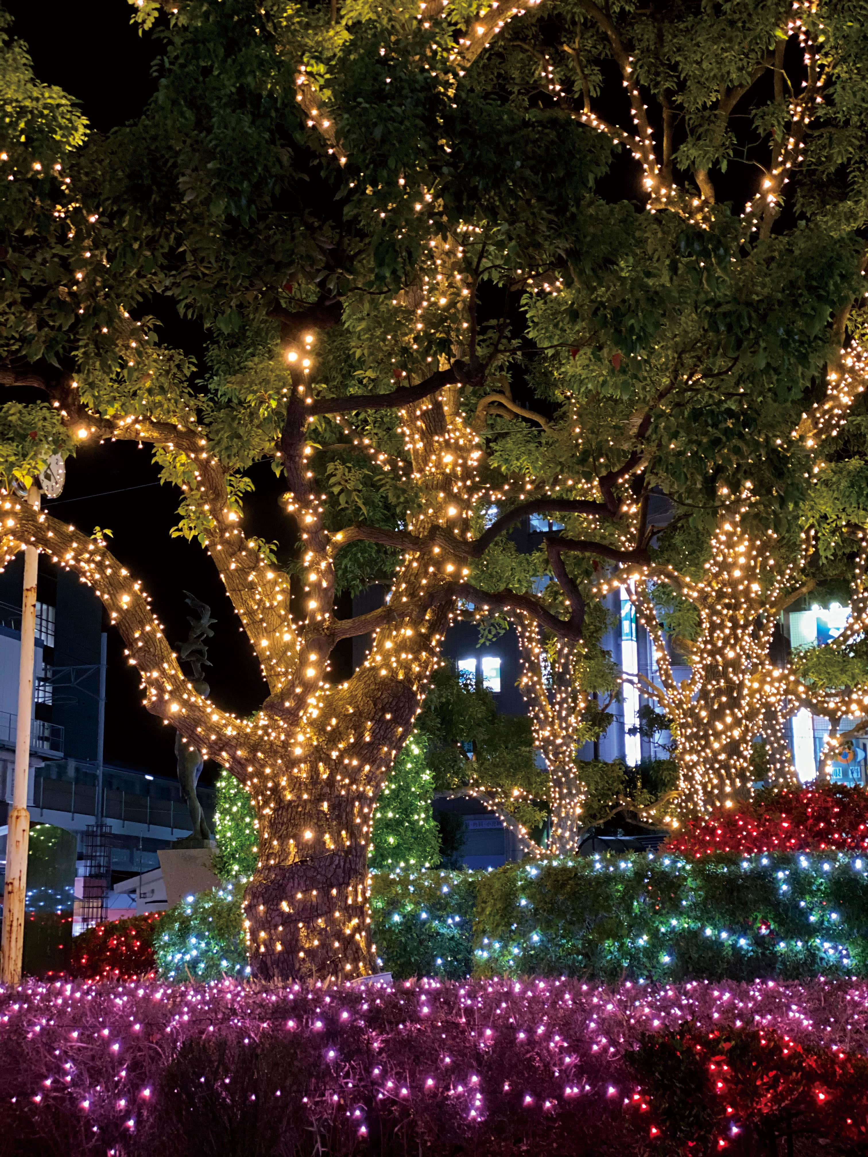 写真:令和2年度のイルミネーションが飾られた南行徳駅の様子