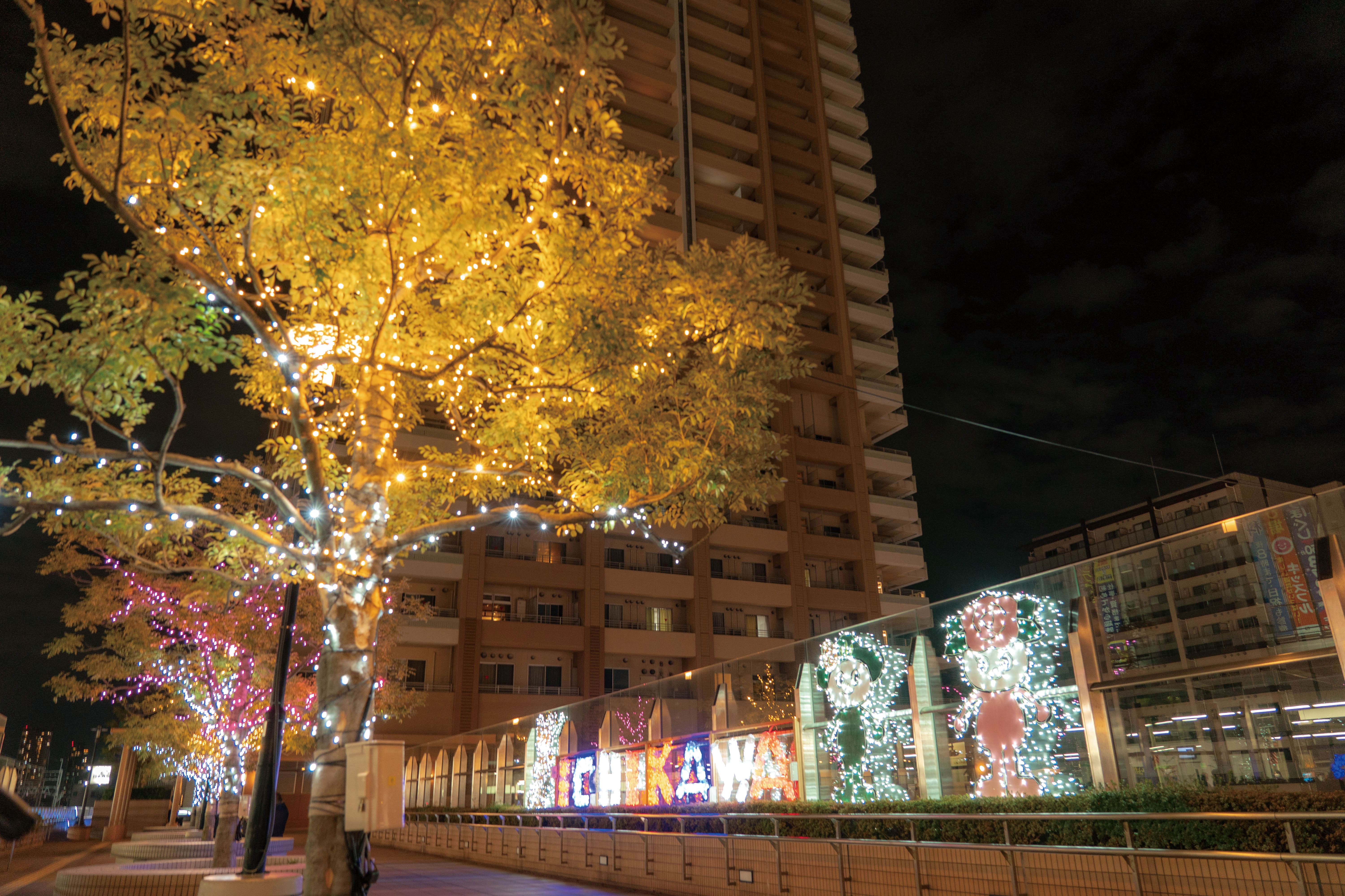 写真:令和2年度のイルミネーションが飾られた市川駅の様子