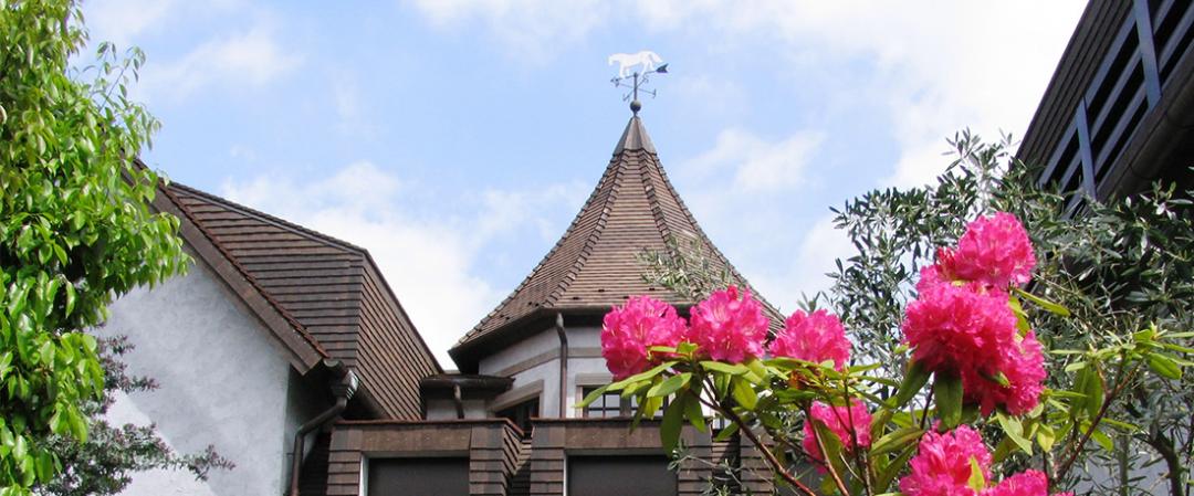東山魁夷記念館の屋根