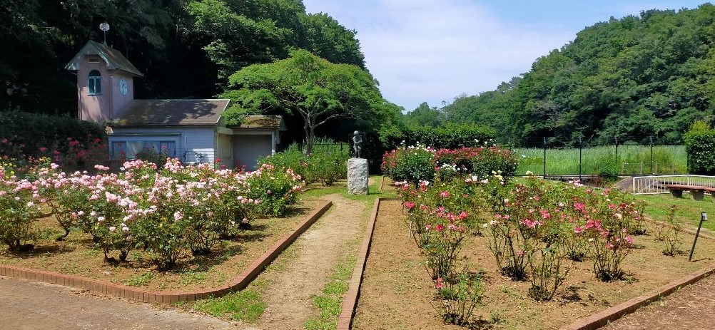 写真：バラ園中央花壇の写真