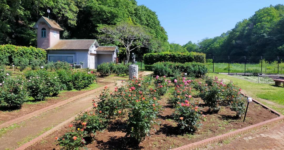 写真：中央花壇の写真