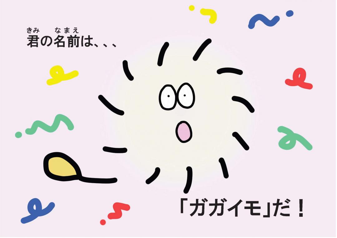 画像：ガガイモ説明のイラスト１