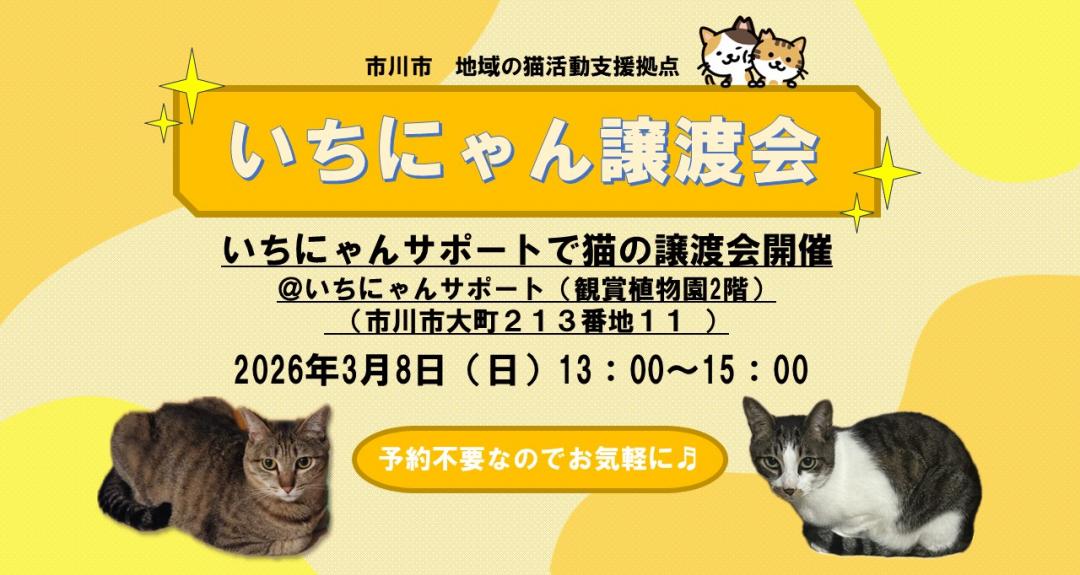 いちにゃん譲渡会のポスター