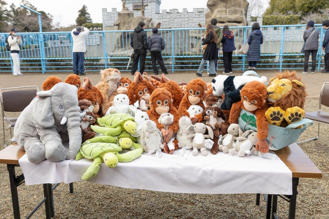 画像：ぬいぐるみ