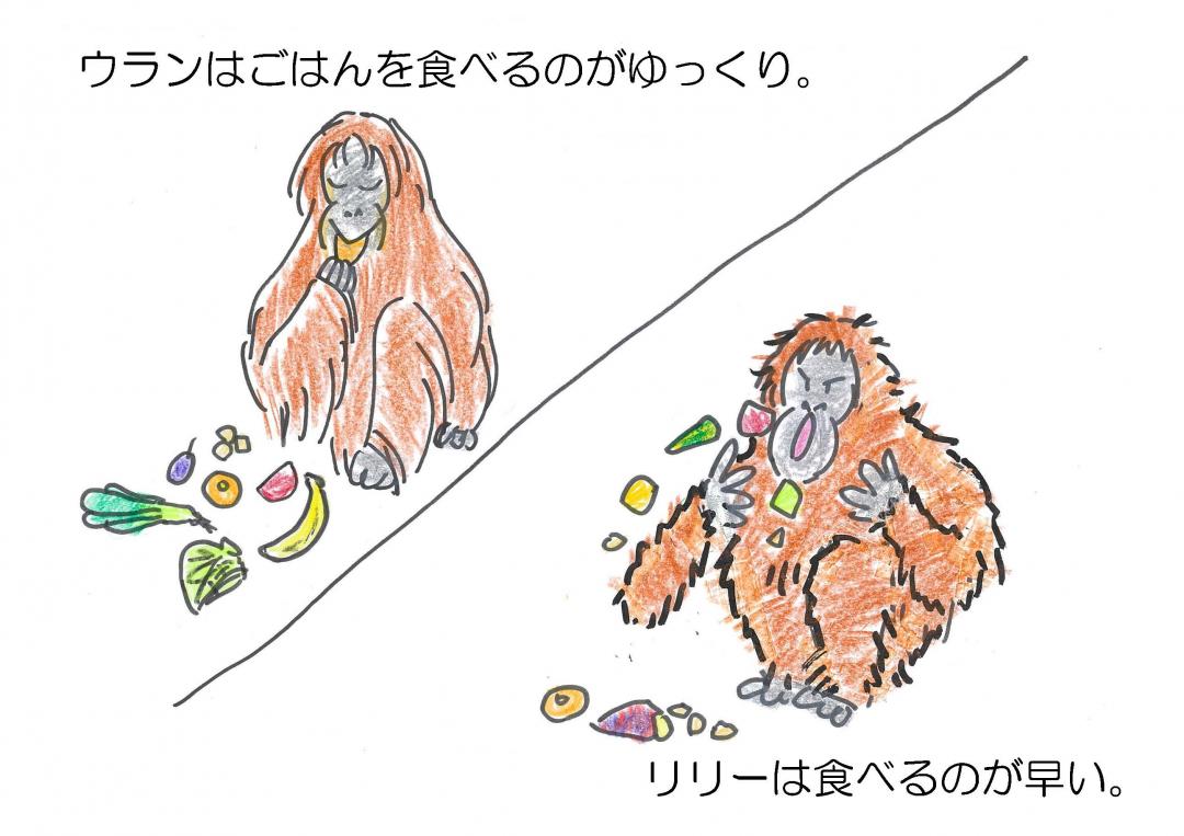 ウランとリリーの漫画1枚目